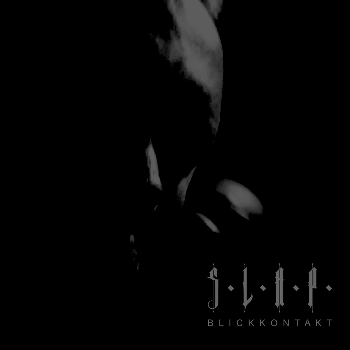 Blickkontakt - Single by S.L.A.P. album cover