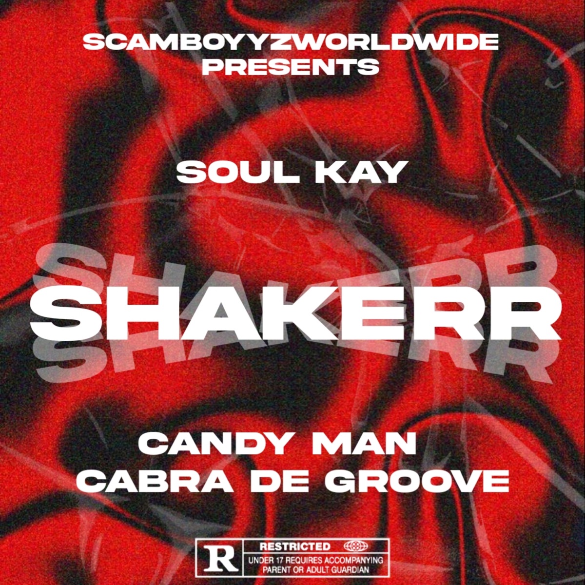 Shakerr - Single by Soul Kay, Candy Man & Cabra De Groove album cover