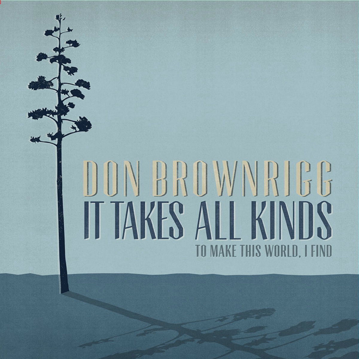 It Takes All Kinds (To Make This World I Find) by Don Brownrigg album cover