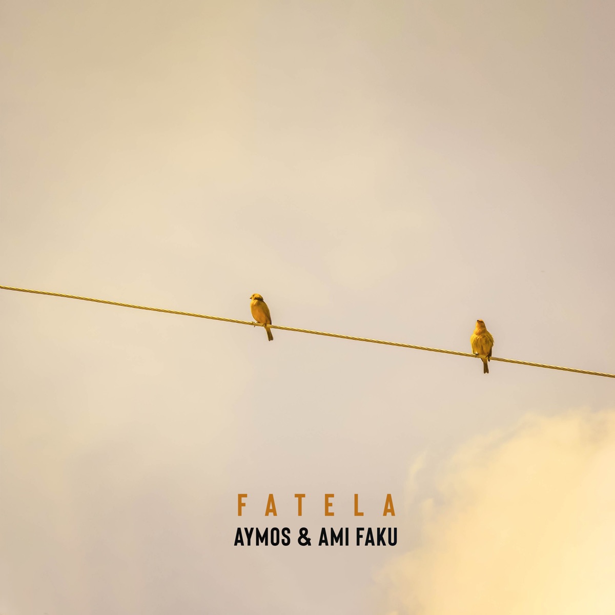 Fatela - Single by Aymos & Ami Faku album cover