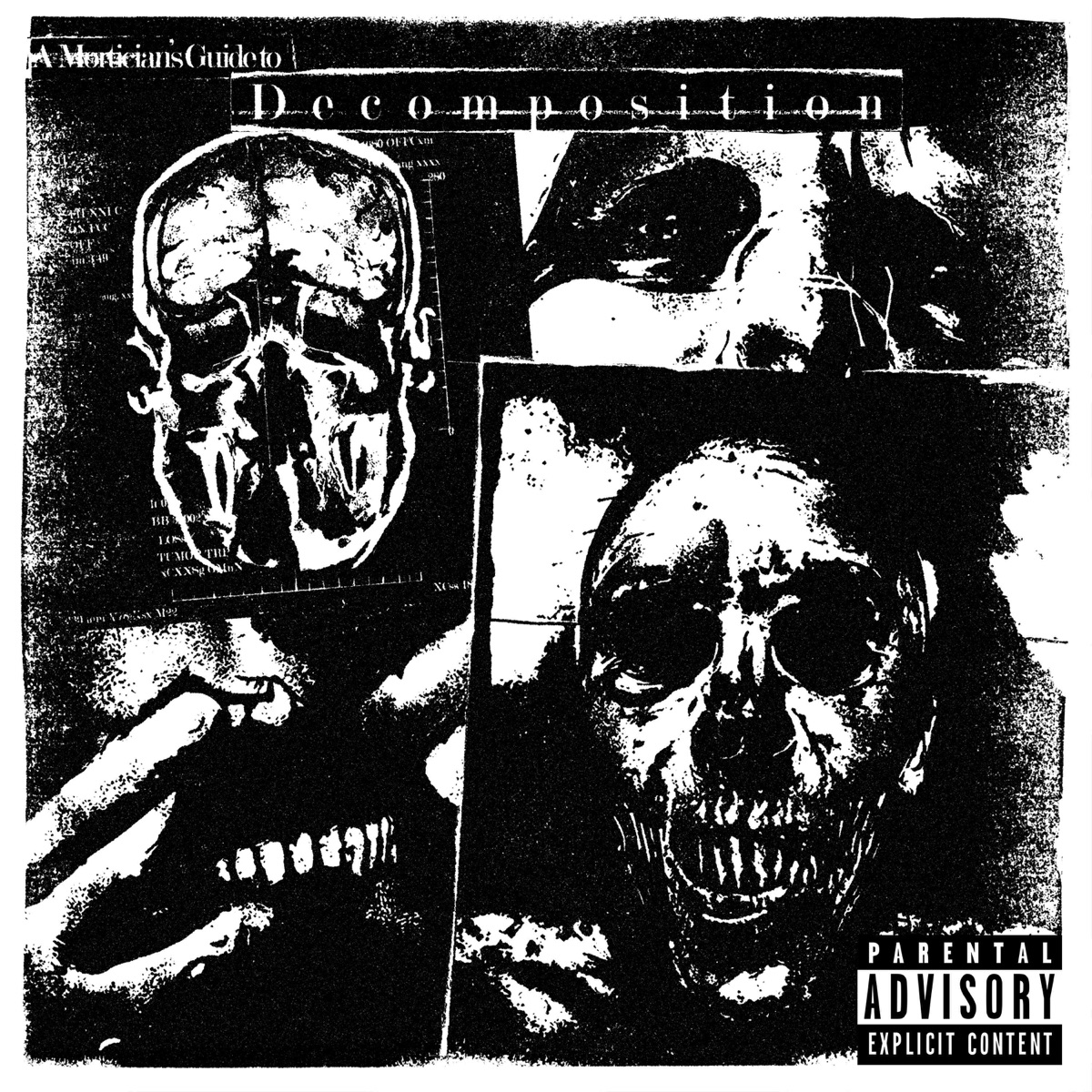 A Mortician's Guide to Decomposition by Trechor Boy album cover