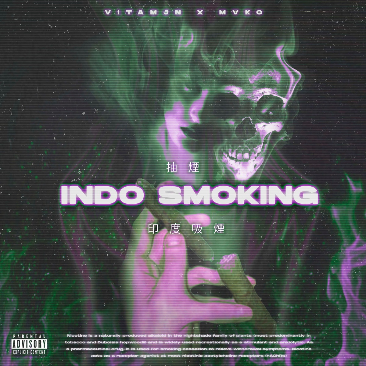 Indo Smokin - Single by Mvko & Vitamjn album cover