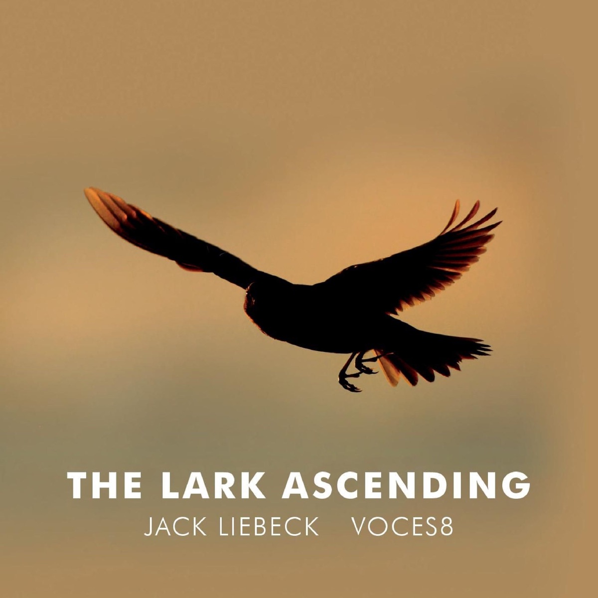 The Lark Ascending (Arr. for violin and choir by Paul Drayton) - EP by Jack Liebeck & VOCES8 album cover
