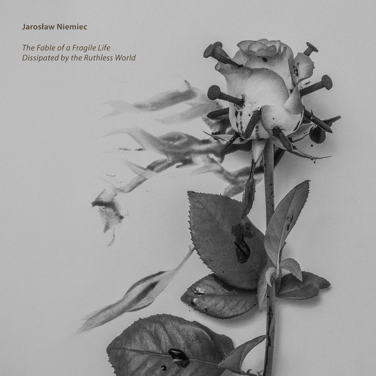 The Fable of a Fragile Life Dissipated by the Ruthless World by Jarosław Niemiec album cover