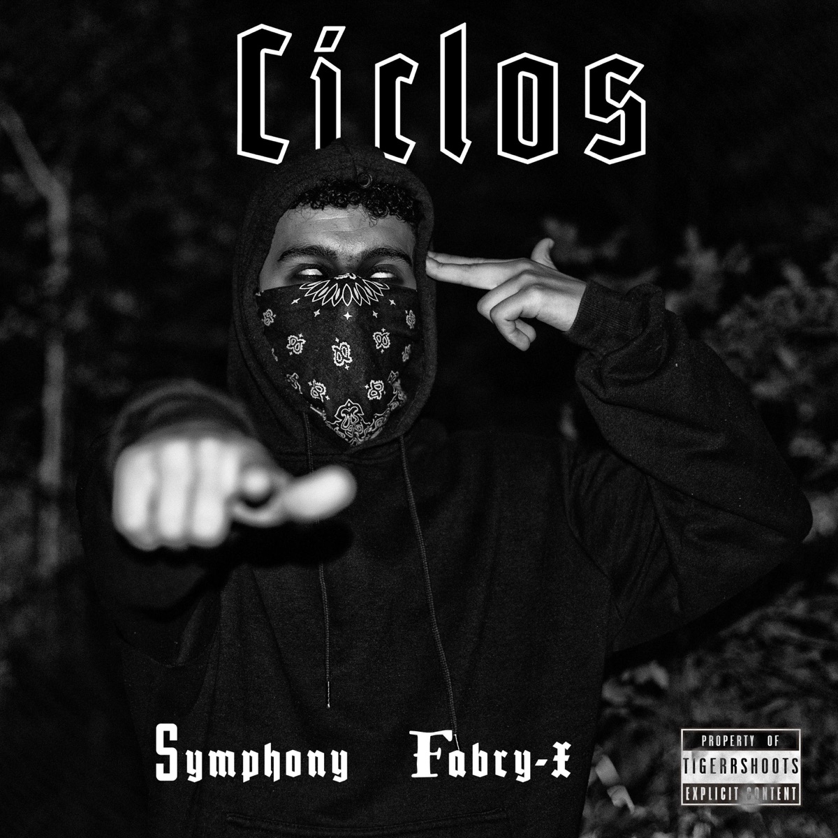 Ciclos (feat. Symphony) - Single by Fabry-X album cover