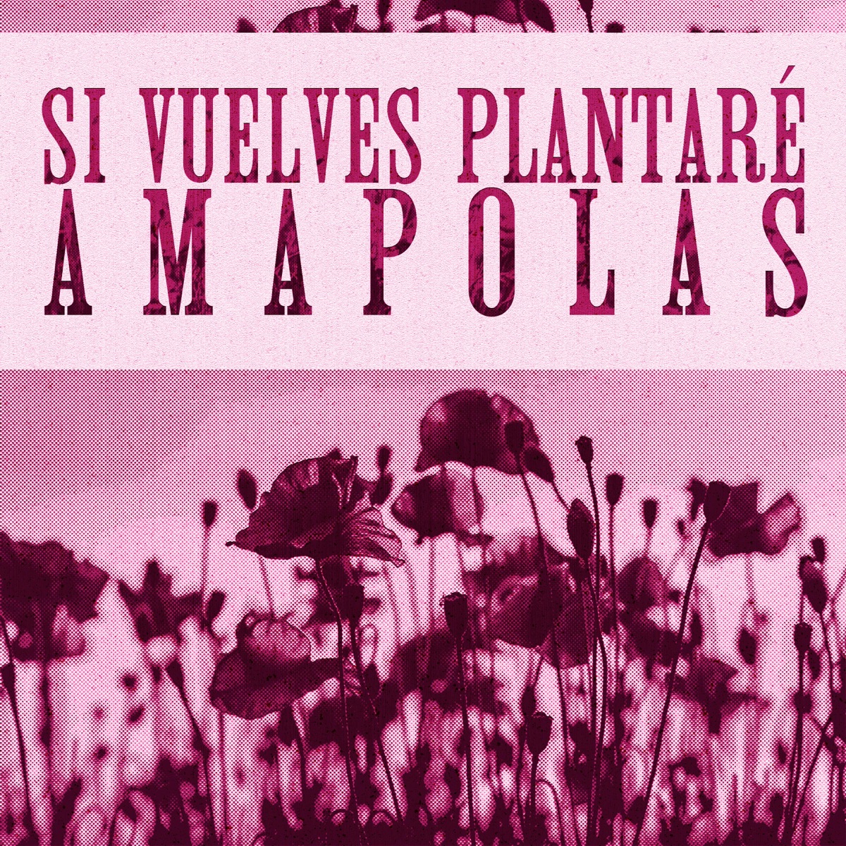 si vuelves plantaré amapolas - Single by Engel album cover