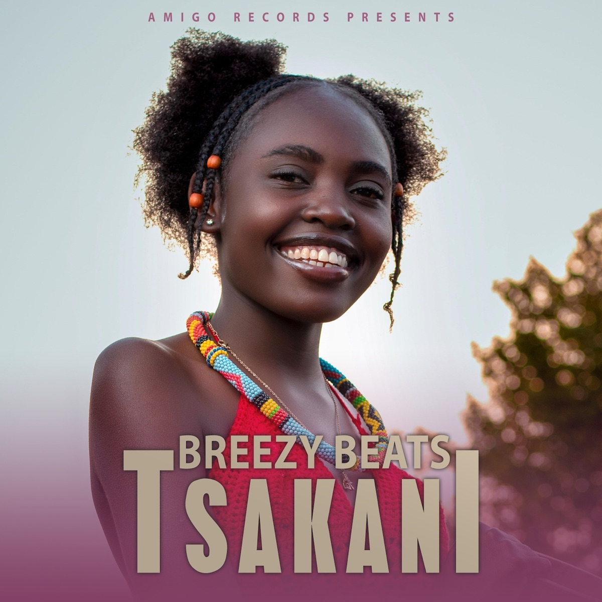 Tsakani - Single by Breezybeats album cover