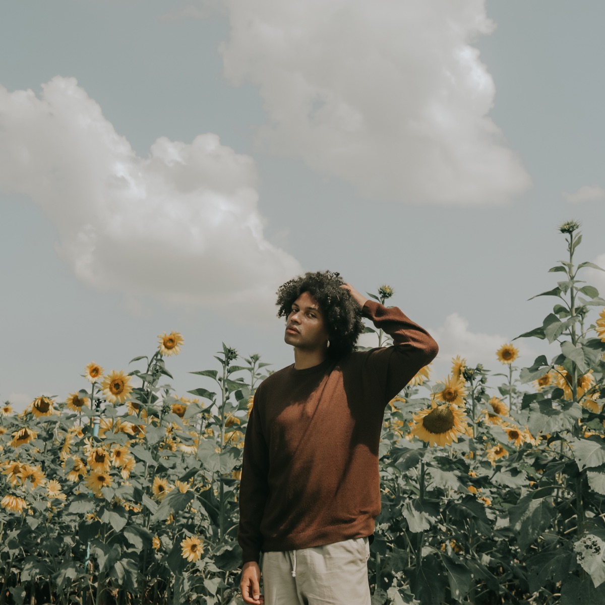 Girassol - Single by Jojow album cover