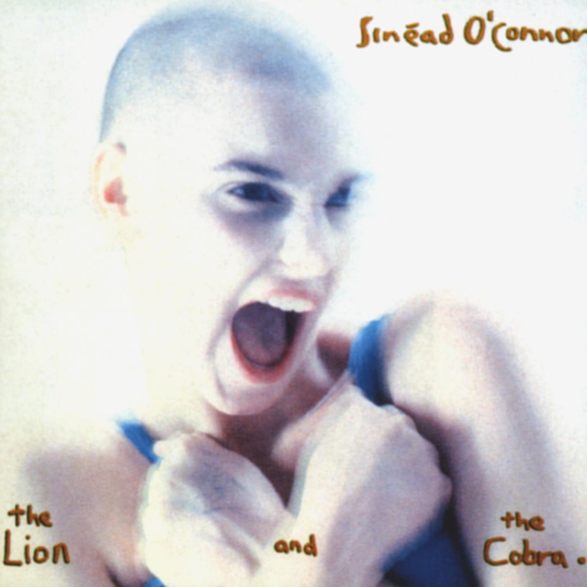 The Lion and the Cobra by Sinéad O'Connor album cover