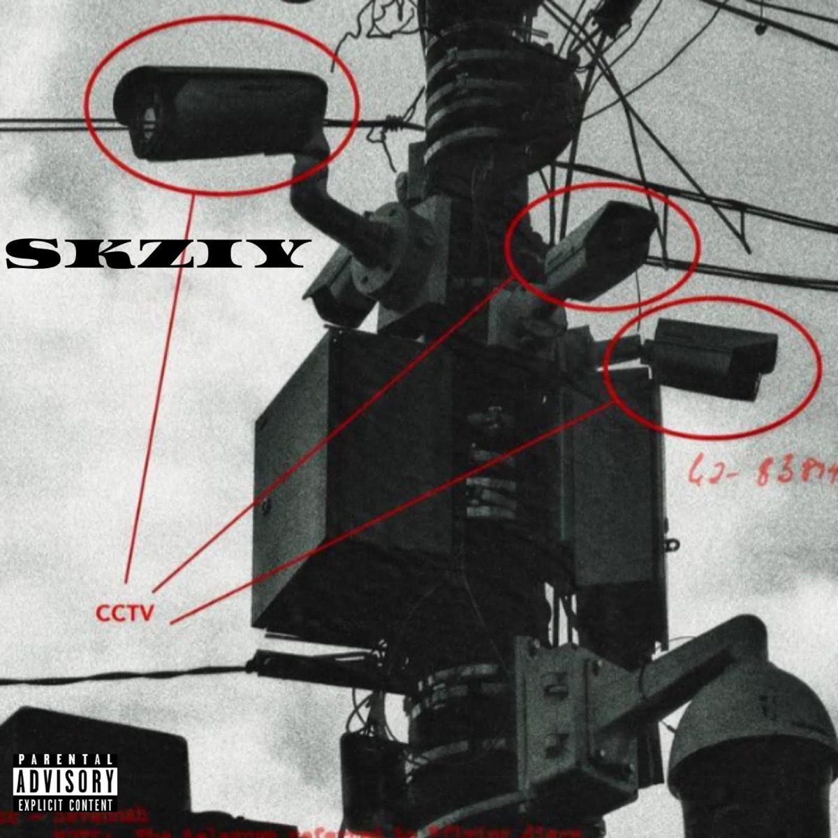 Blunt Talk by SKZIY album cover