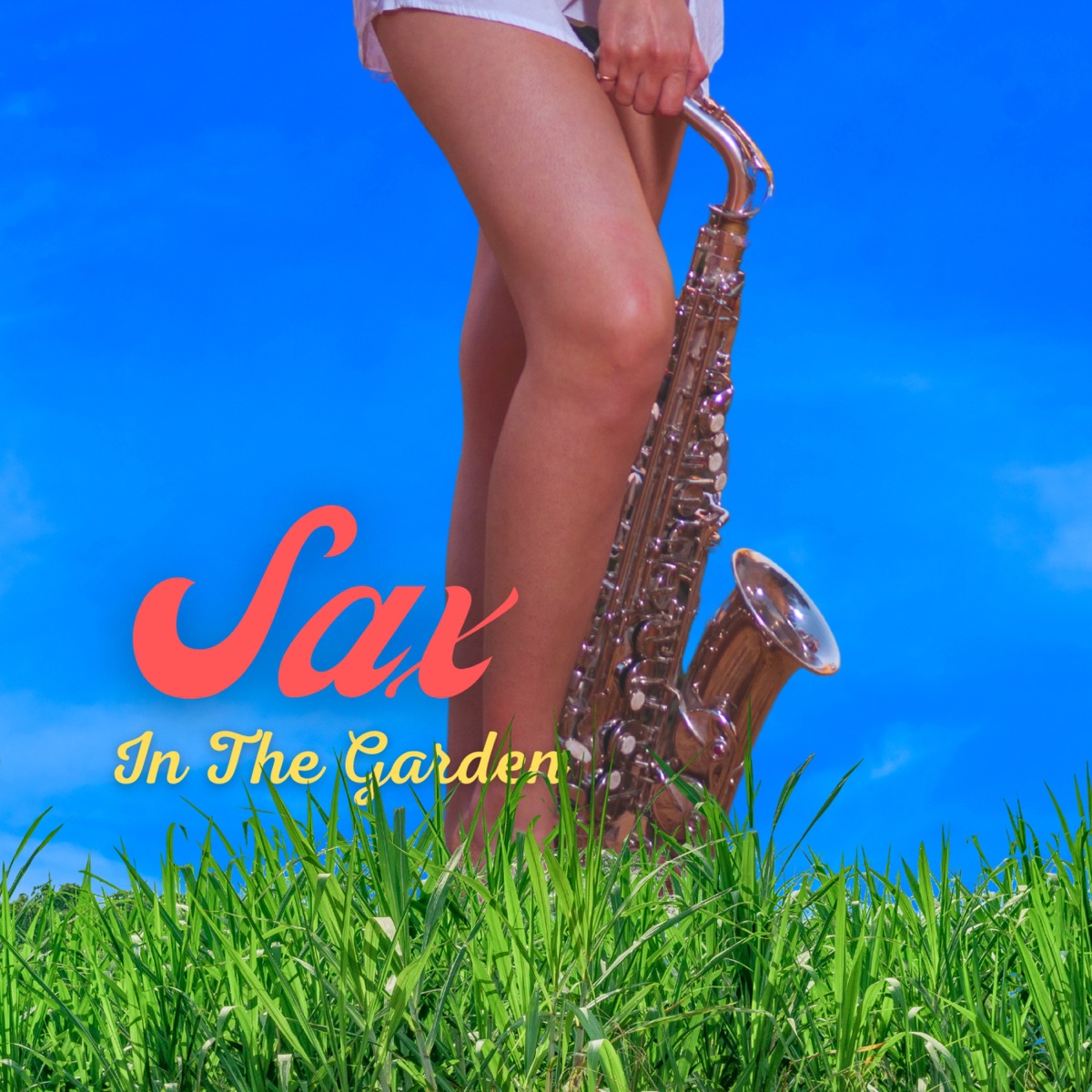 Sax In the Garden - Single by Greves & Die Ouwe album cover