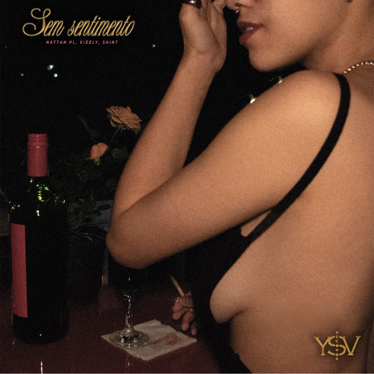 Sem Sentimento - Single by Nattan PL, Saint & Vizzly album cover