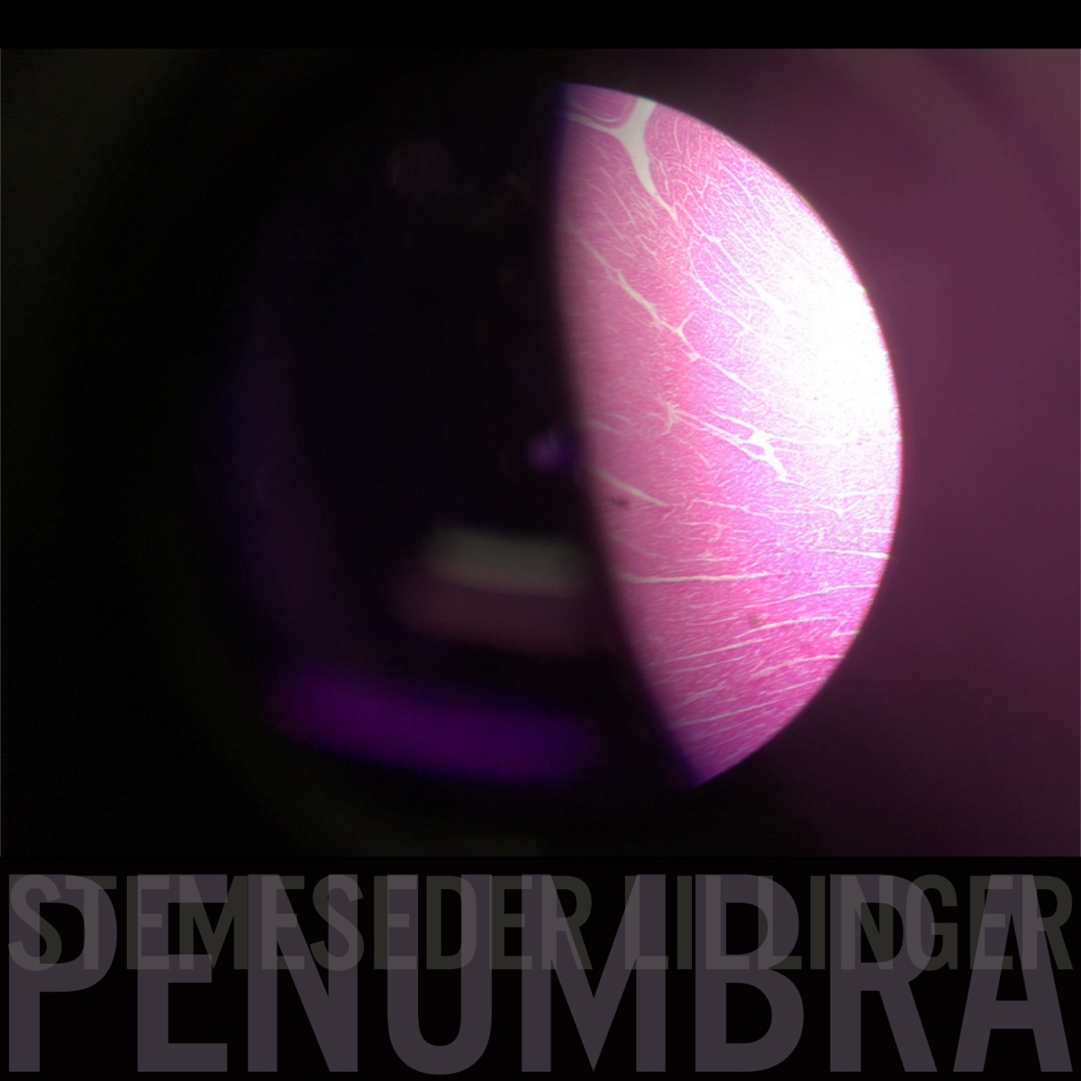 Penumbra by Elias Stemeseder & Christian Lillinger album cover