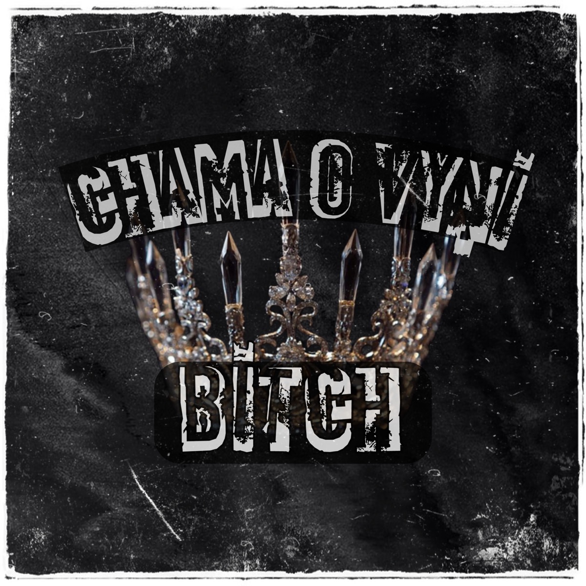 CHAMA O VYNI, BITCH! by VYNI album cover