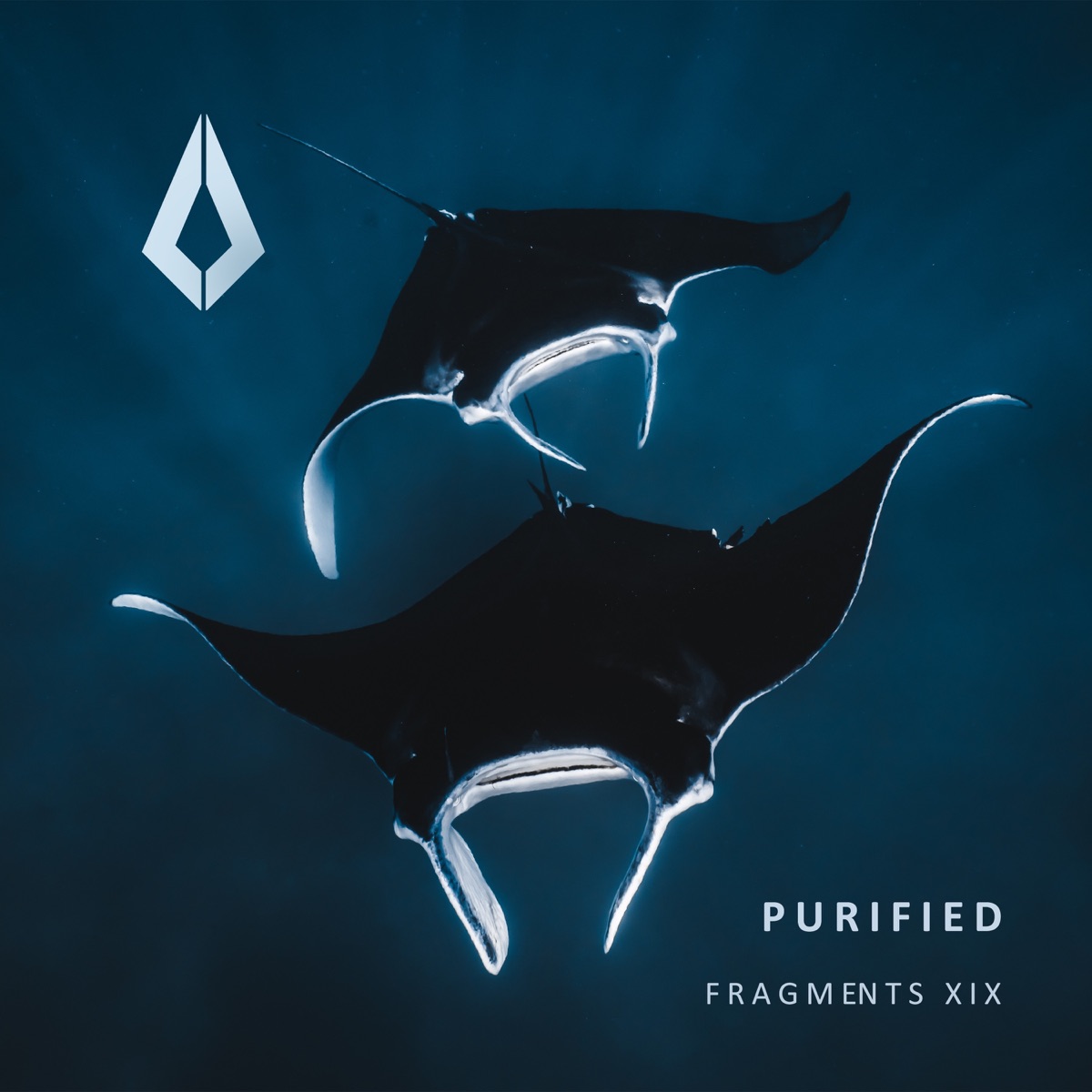 Purified Fragments XIX - EP by Spartans, P.LIMA & Offtide album cover