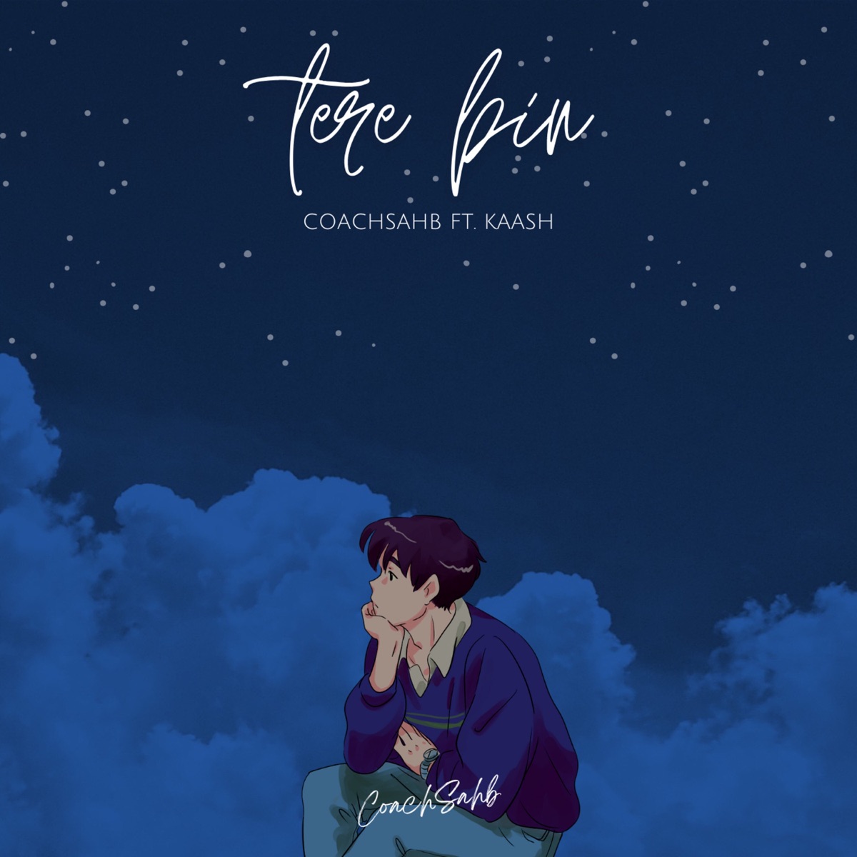 Tere Bin (feat. Kaash) - Single by Coachsahb album cover