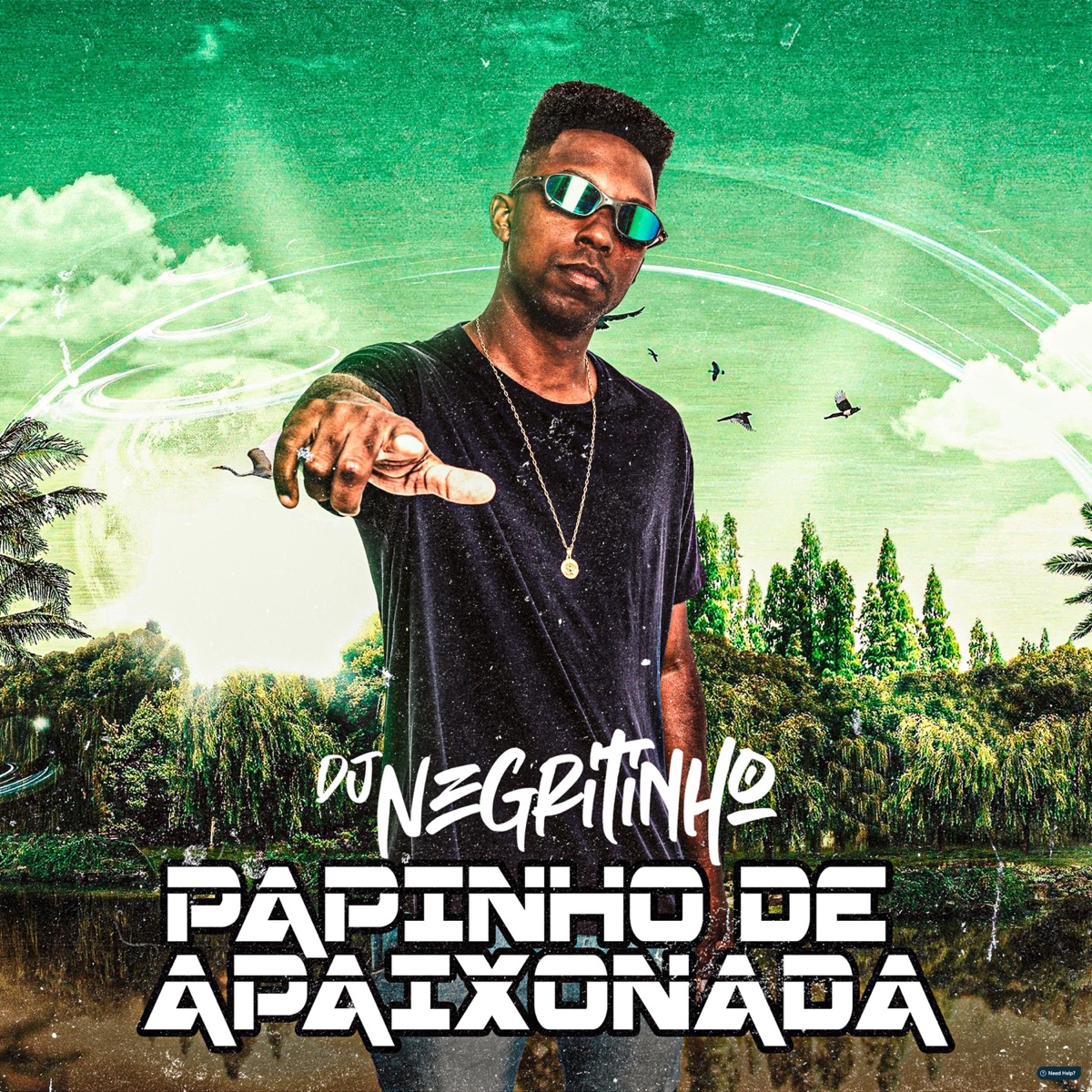 Papinho de Apaixonada (feat. MC GW, MC Duartt, Mc Tio Nick, Mc Tonny ZL & Mc Vitinho Da ZL) - Single by DJ Negritinho album cover
