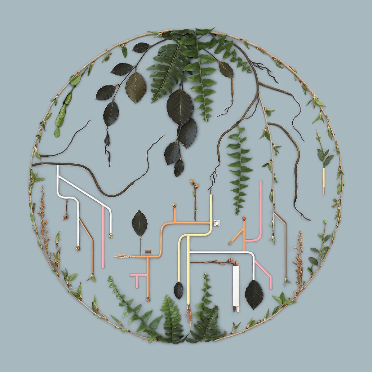 Tributaries, Vol. 2 by El Búho album cover