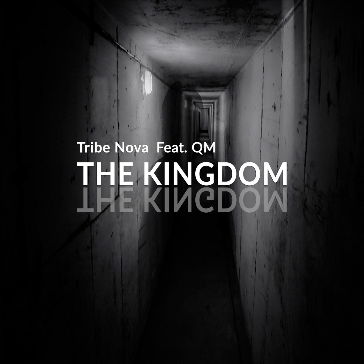 The Kingdom (feat. Queshin Mark) - Single by Tribe Nova album cover