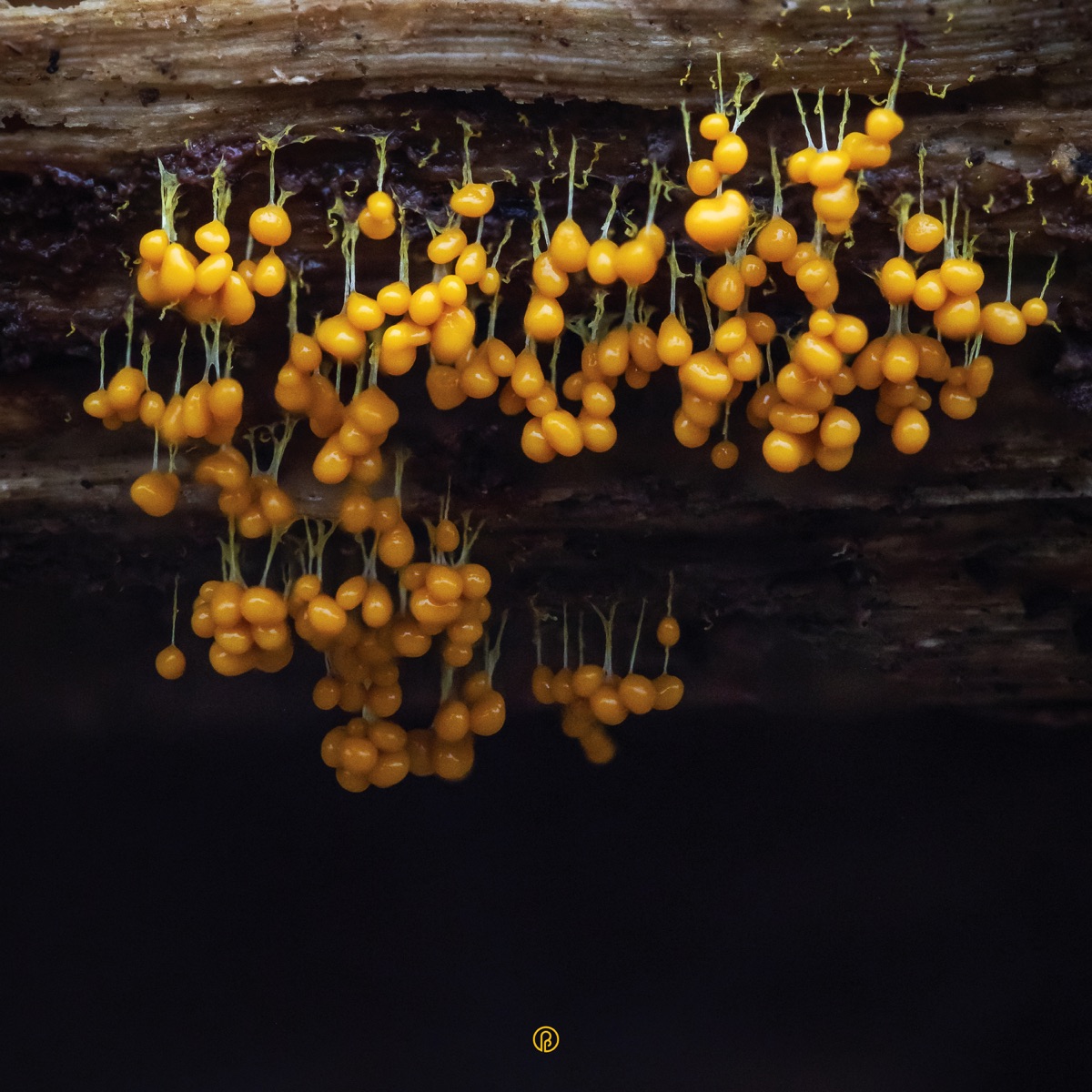 A New Landscape by LAV album cover