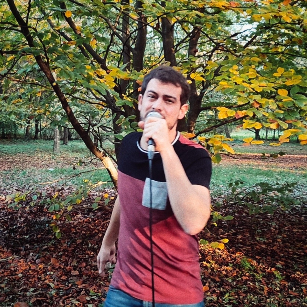 Dit de la force de l'amour - Single by Daman album cover