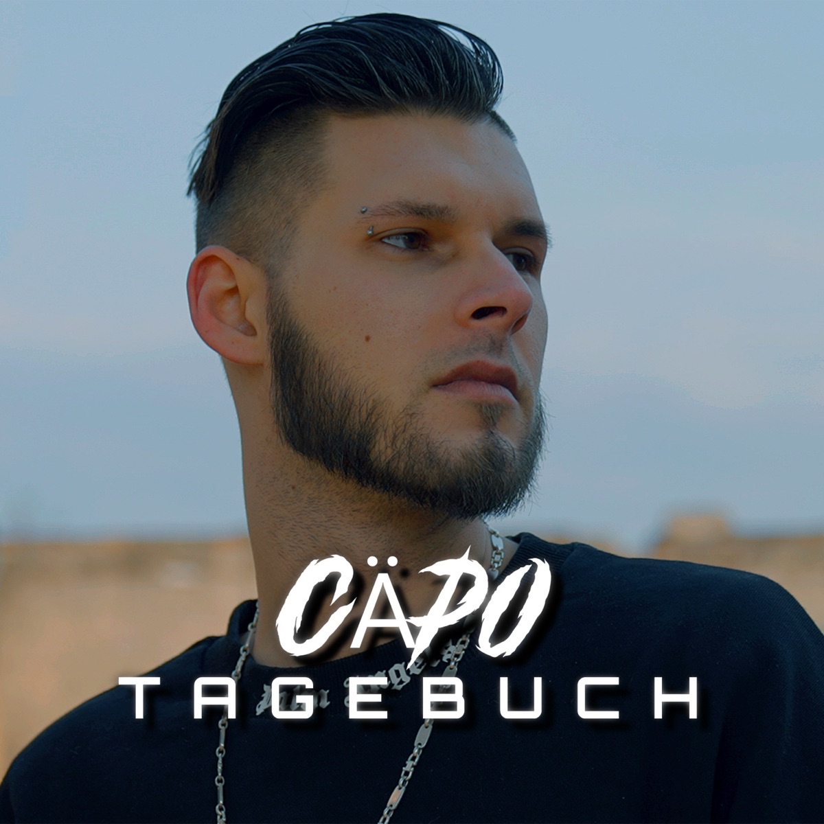 Tagebuch - Single by Cäpo album cover