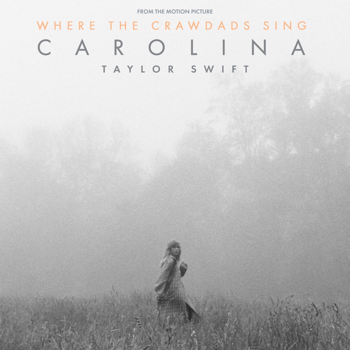 Carolina (From The Motion Picture “Where The Crawdads Sing”) - Single by Taylor Swift album cover artwork