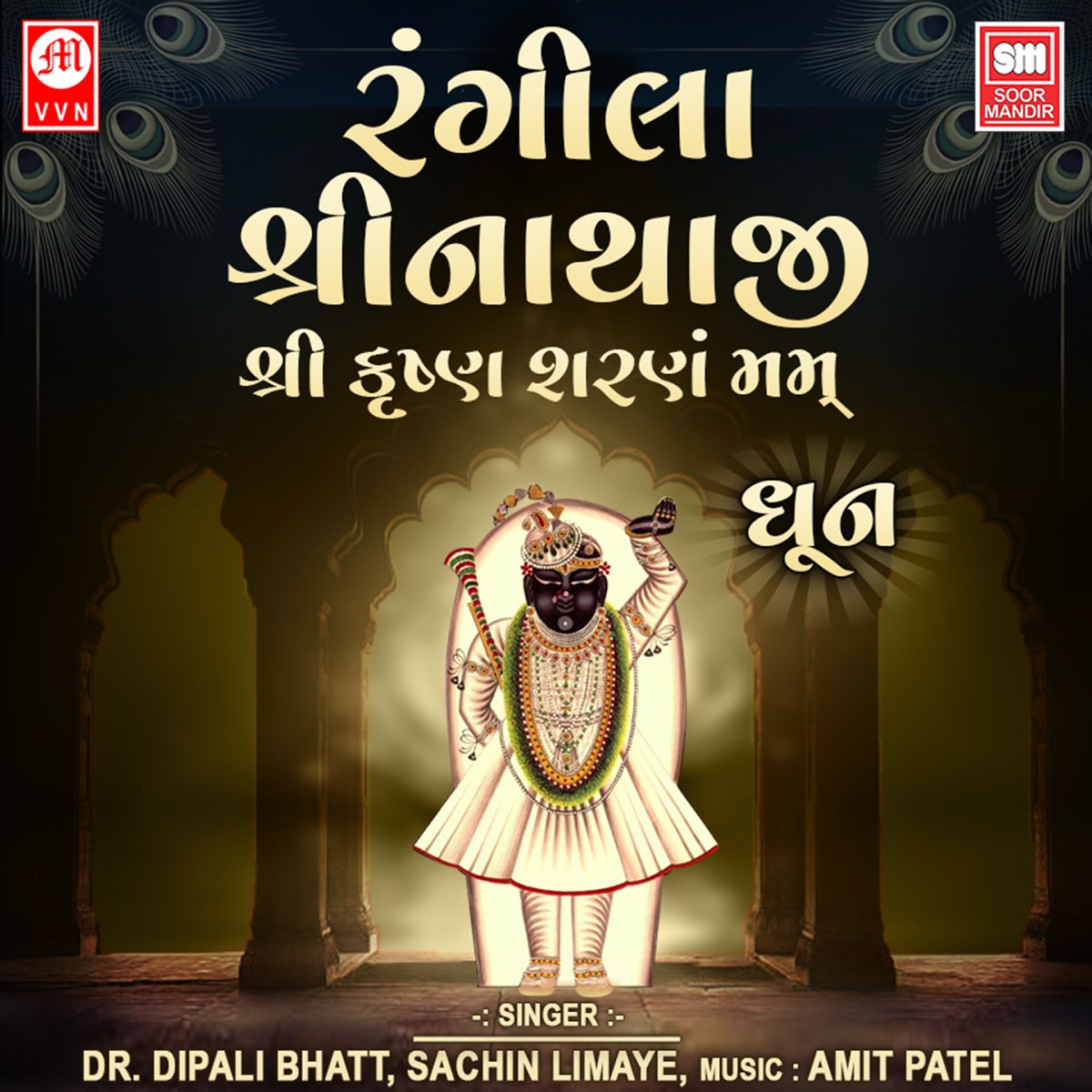 Rangila Shreenathji by Dr. Dipali Bhatt & Sachin Limaye album cover