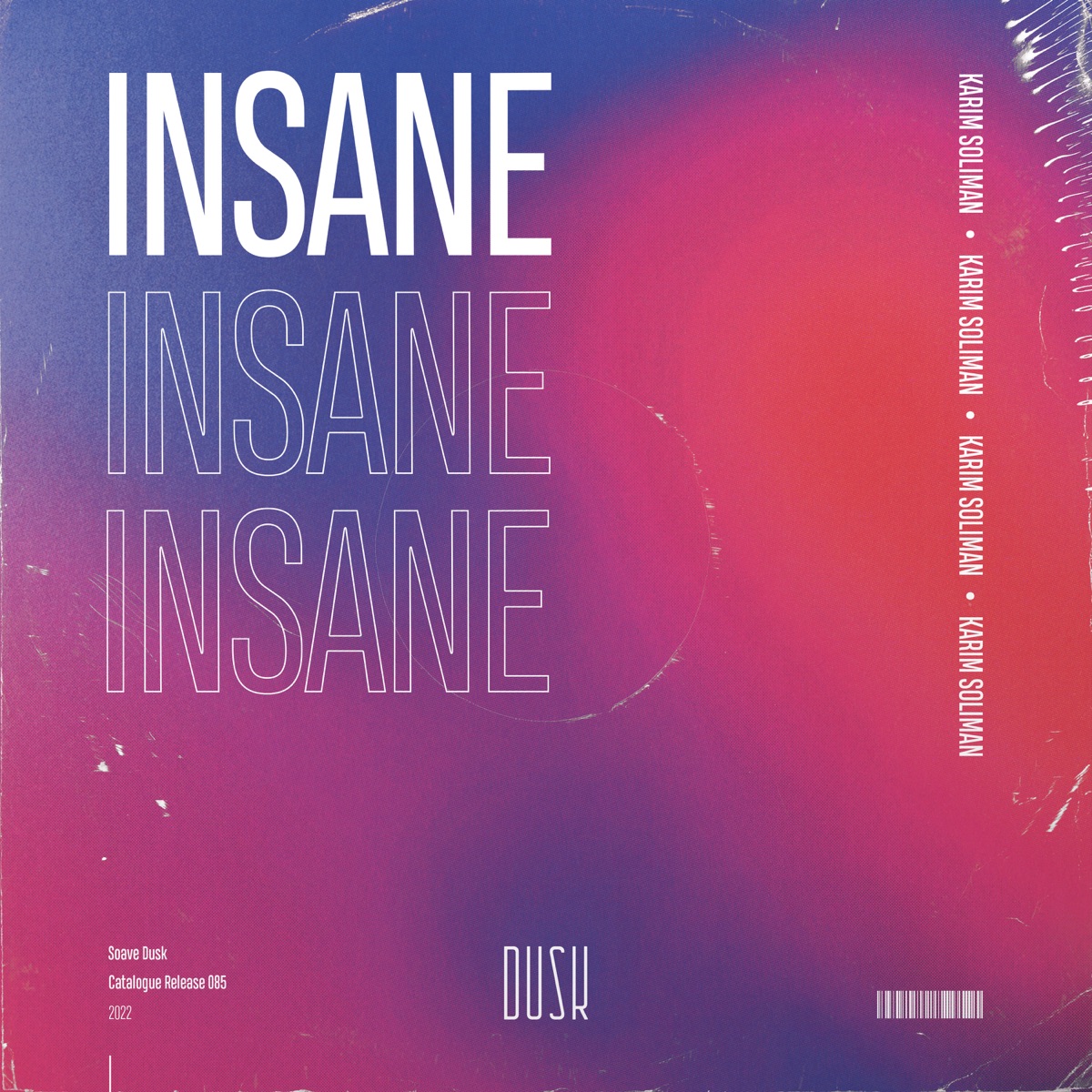 Insane - Single by Karim Soliman album cover
