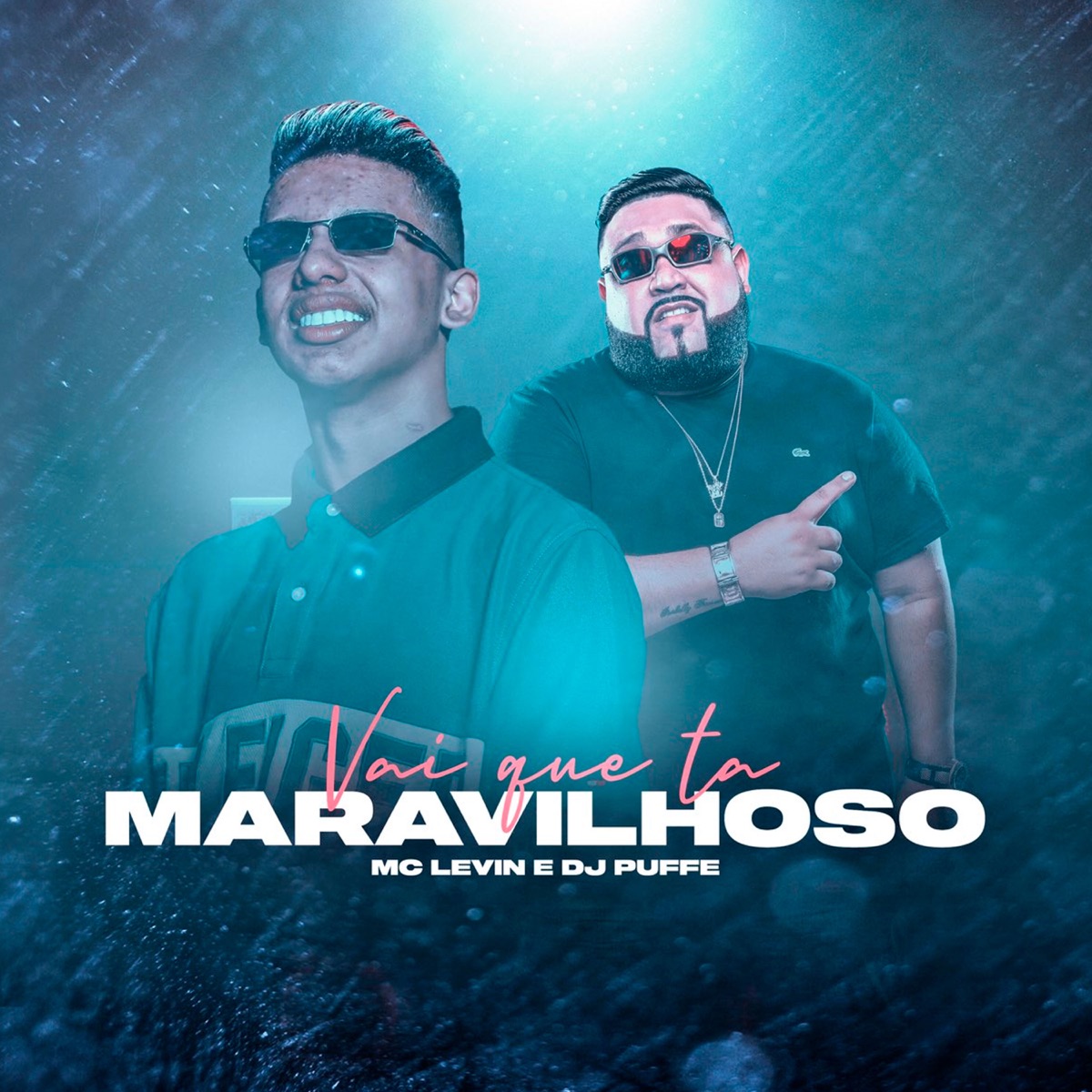 Vai Que Tá Maravilhoso - Single by MC Levin & Dj Puffe album cover