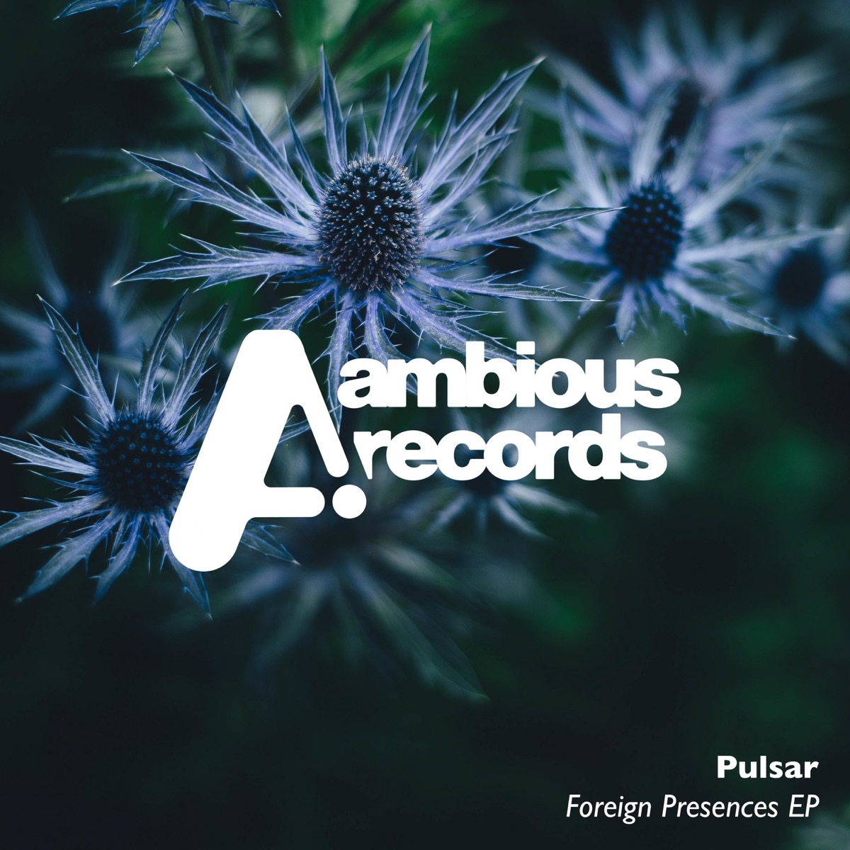 Foreign Presences - EP by P U L S A R album cover