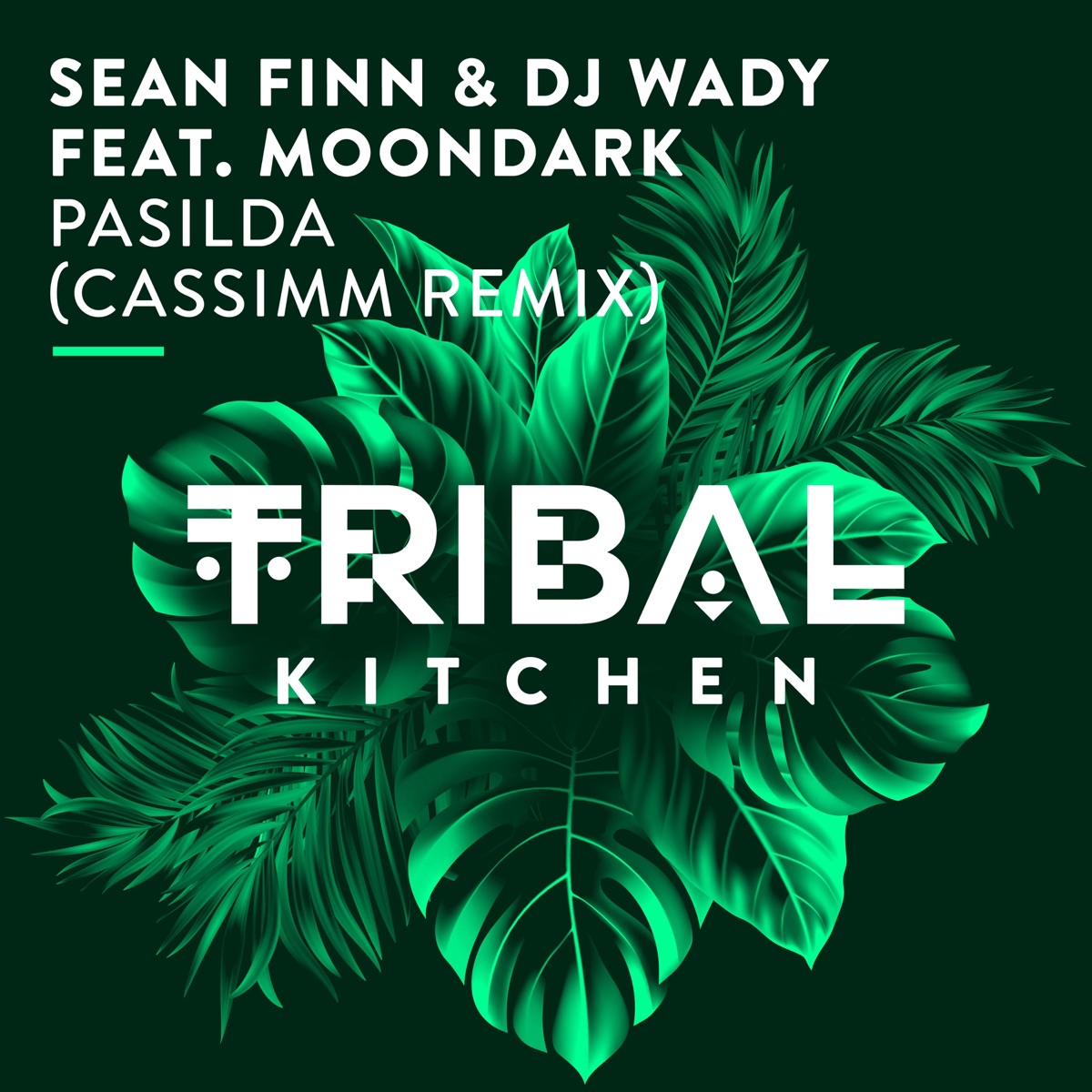 Pasilda (feat. MoonDark) [CASSIMM Radio Edit] - Single by Sean Finn & DJ Wady album cover