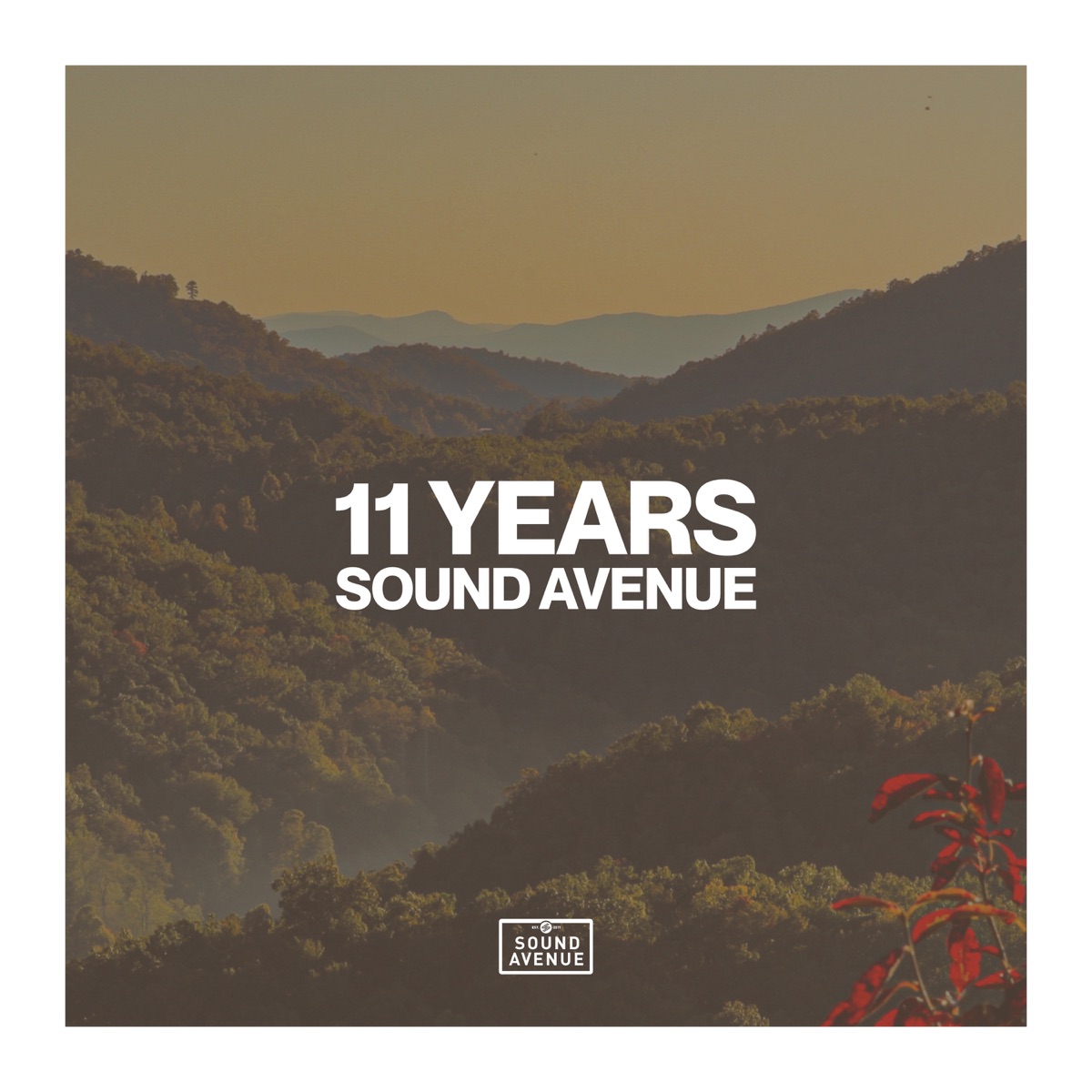 11 Years Sound Avenue by Hernán Cattáneo, Dmitry Molosh & Madloch album cover