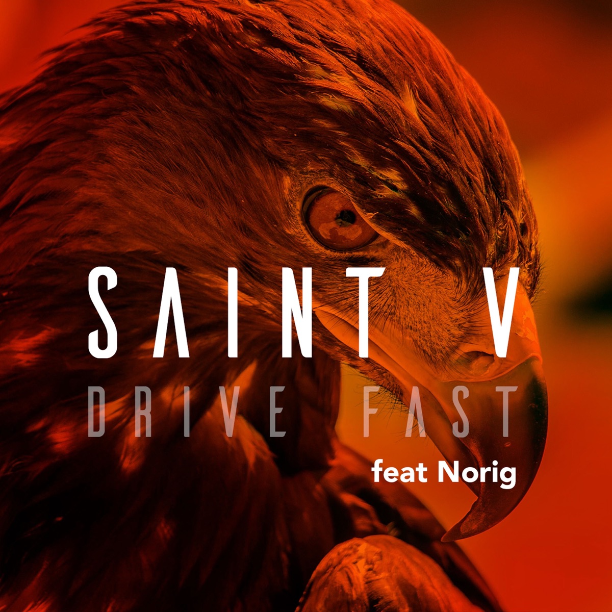 Drive Fast (feat. Norig) - Single by SaintV album cover