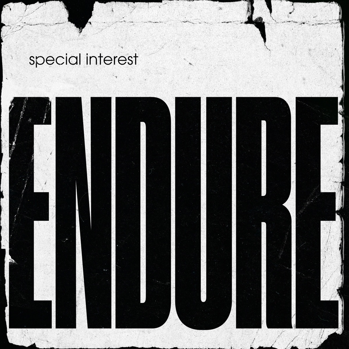 Endure by Special Interest album cover