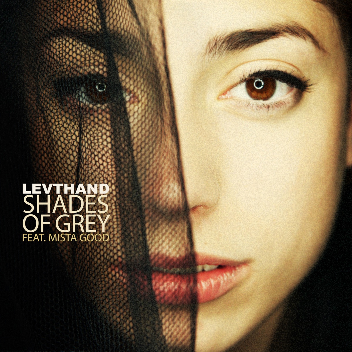 Shades of Grey (feat. Mista Good) - Single by Levthand album cover