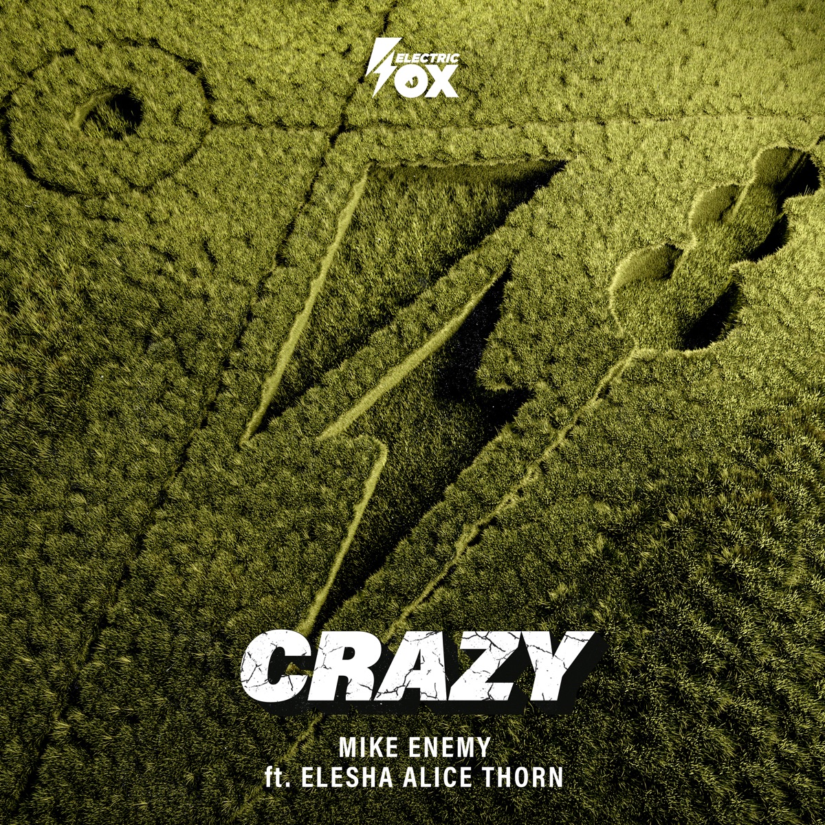 Crazy (feat. Elesha Alice Thorn) - Single by Mike Enemy album cover