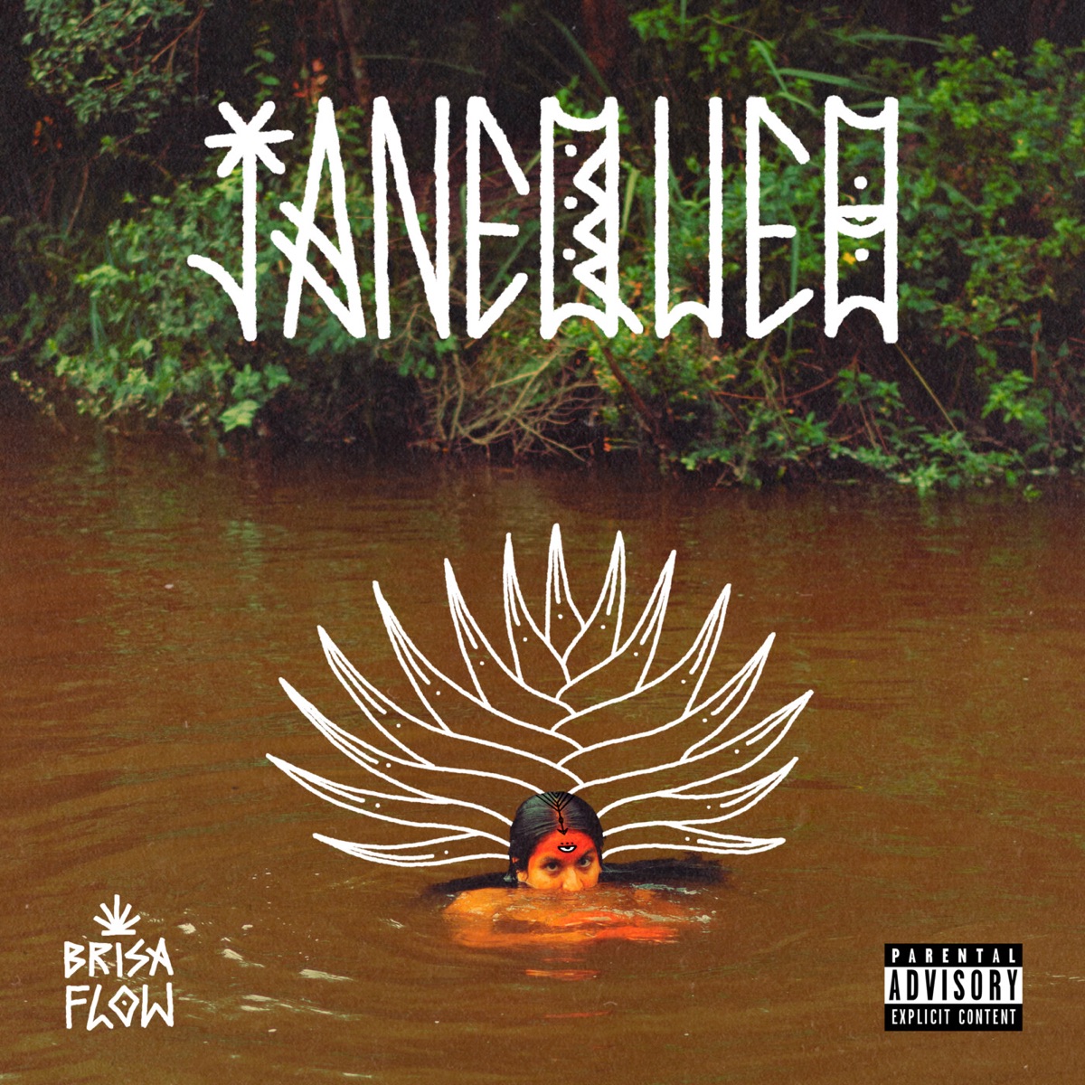 Janequeo by Brisa Flow album cover