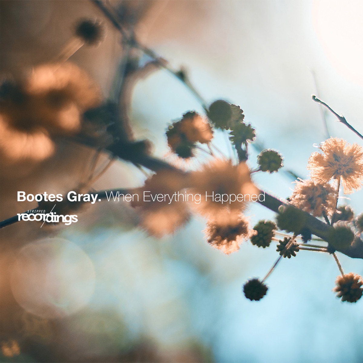 When Everything Happened - Single by Bootes Gray album cover