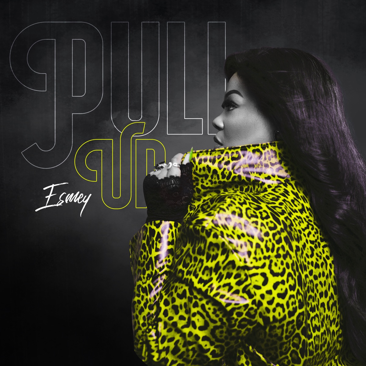 Pull Up - Single by ESMEY album cover