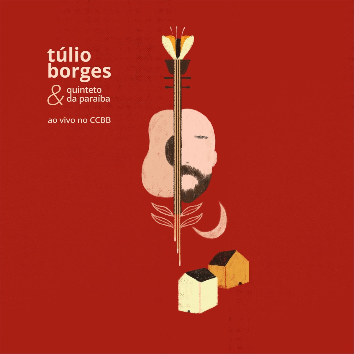 Túlio Borges & Quinteto da Paraíba (Ao Vivo) by Túlio Borges & Quinteto da Paraíba album cover