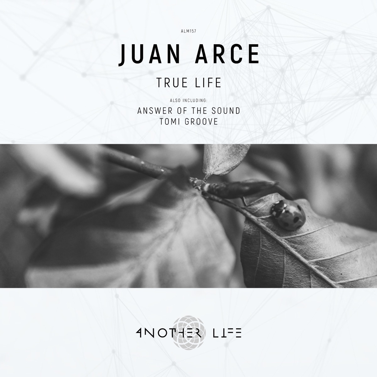 Answer of the Sound - Single by Juan Arce album cover