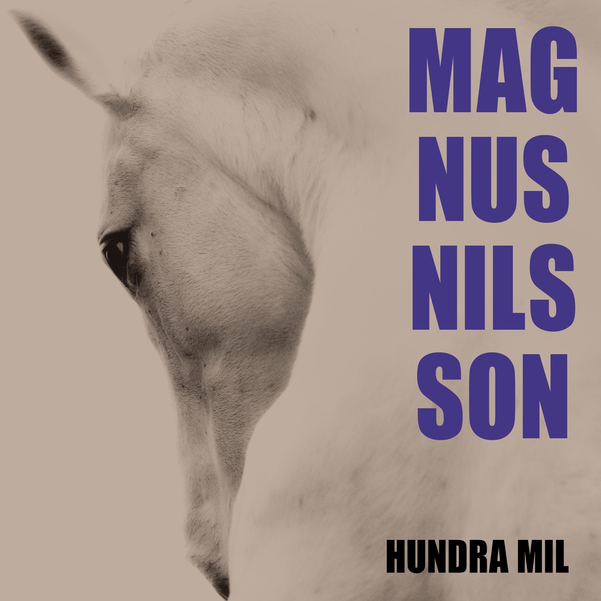 100 mil - Single by Magnus Nilsson album cover