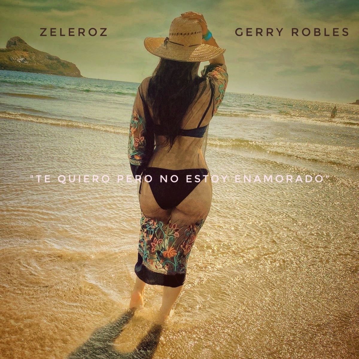 Te quiero pero no estoy enamorado (feat. gerry robles) - Single by Zeleroz album cover