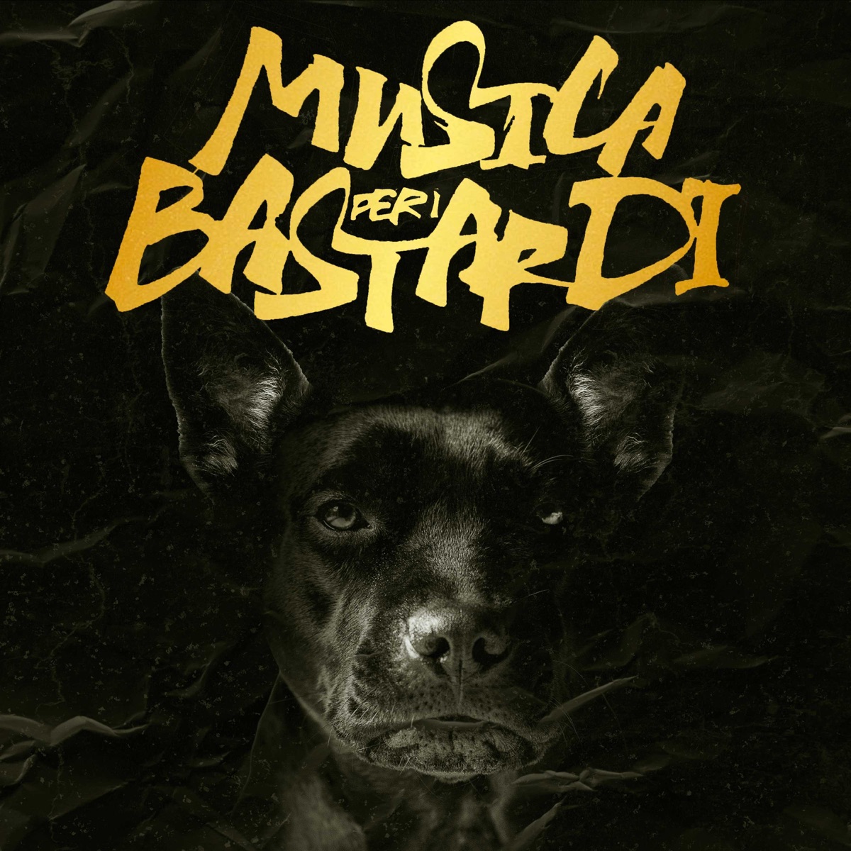 MUSICA PER I BASTARDI by Dj Dust album cover