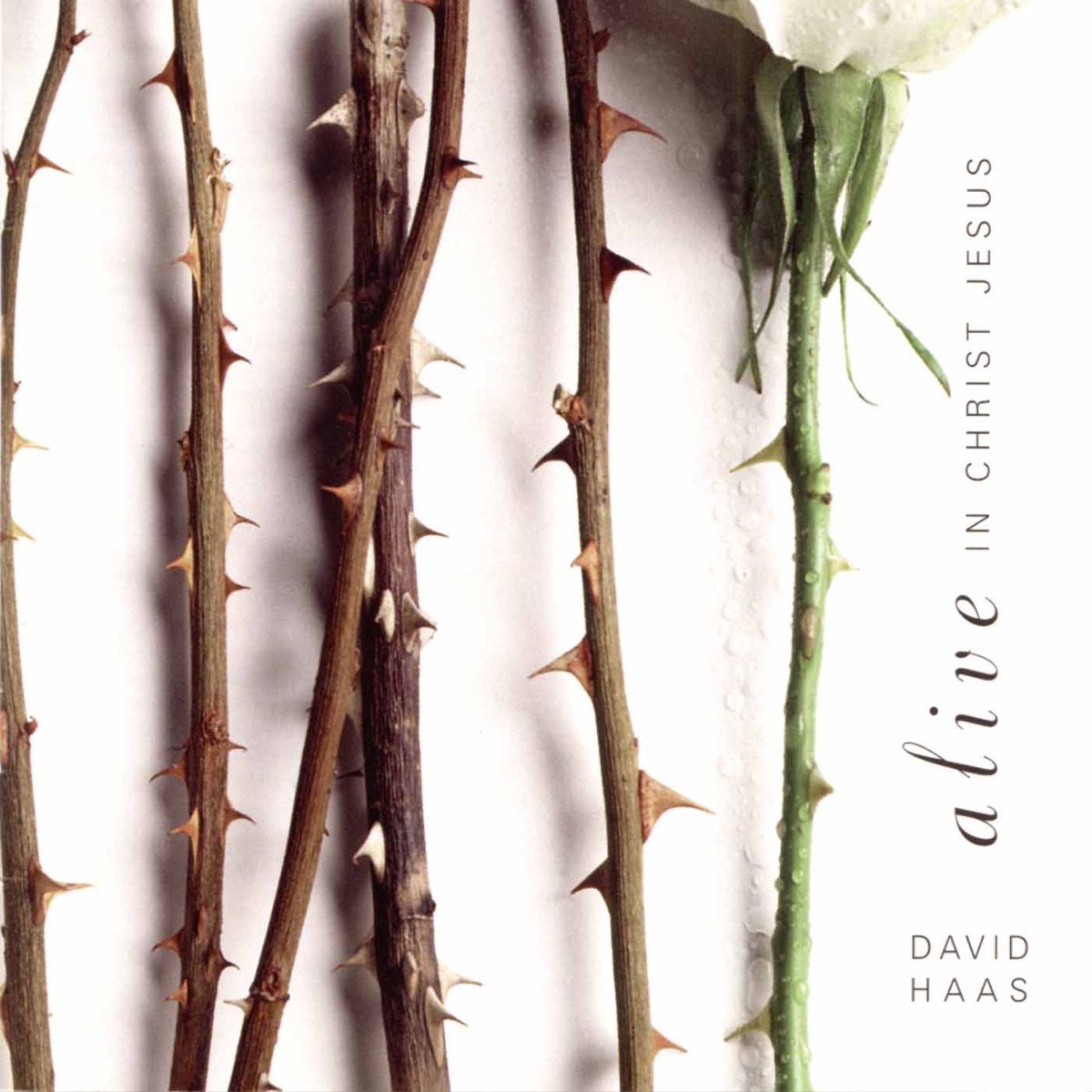 Alive in Christ Jesus by David Haas album cover