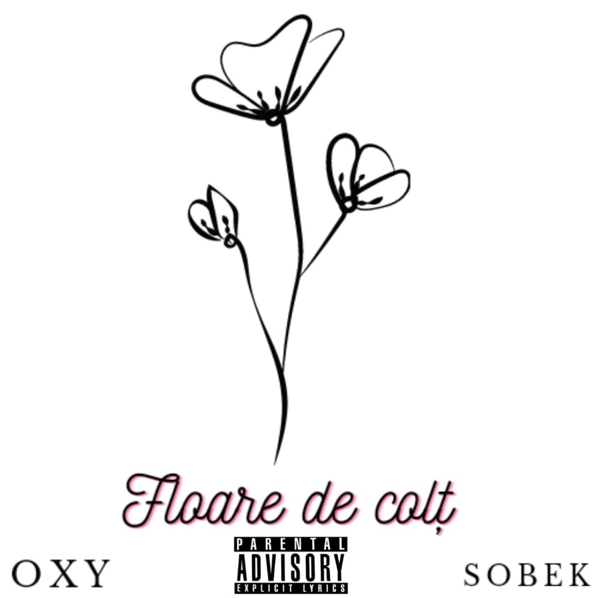 Floare De Colt (feat. SOBEK) - Single by OSMCVD Rap Collective album cover