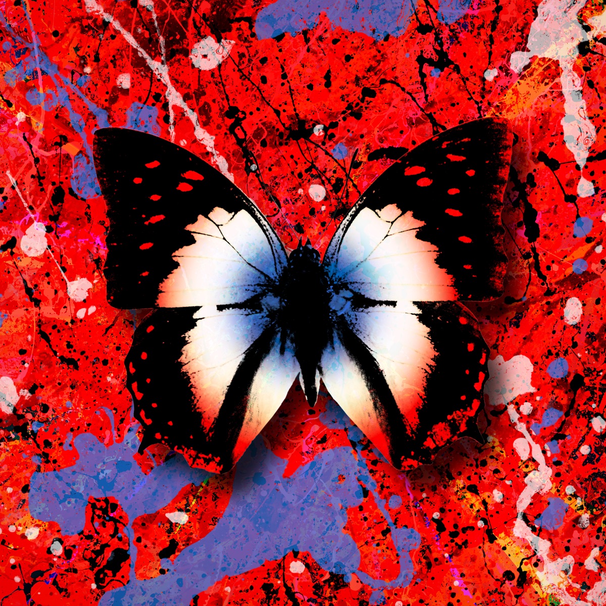 2step (feat. Lil Baby) - Single by Ed Sheeran album cover artwork