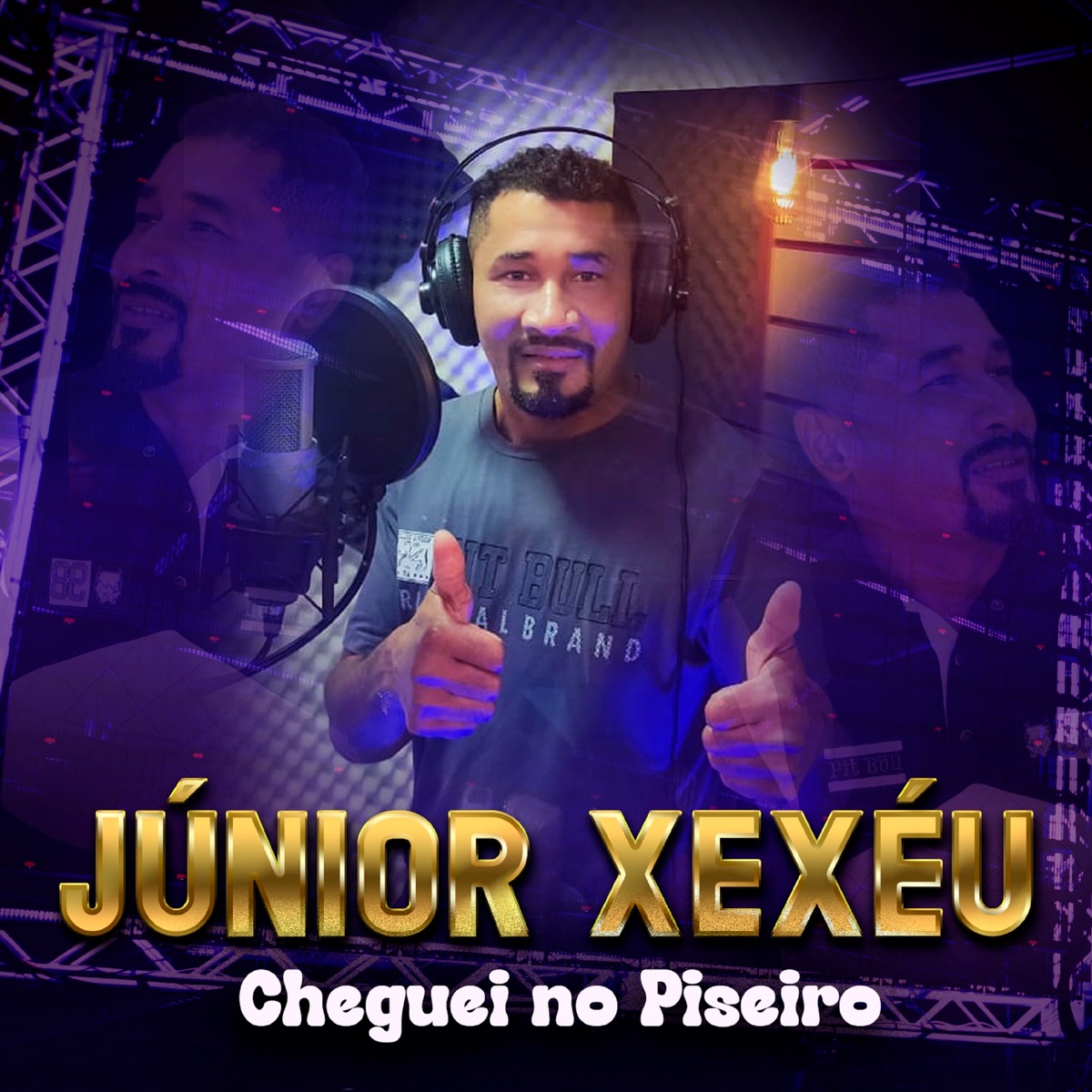 Cheguei no Piseiro - Single by Junior Xexéu album cover