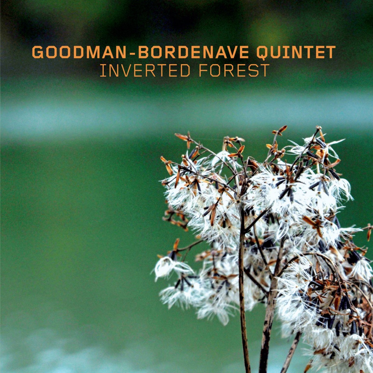 Inverted Forest (feat. Matthieu Bordenave, Geoff Goodman, Till Martin, Andreas Kurz & Bastian Jütte) by Goodman-Bordenave Quintet album cover